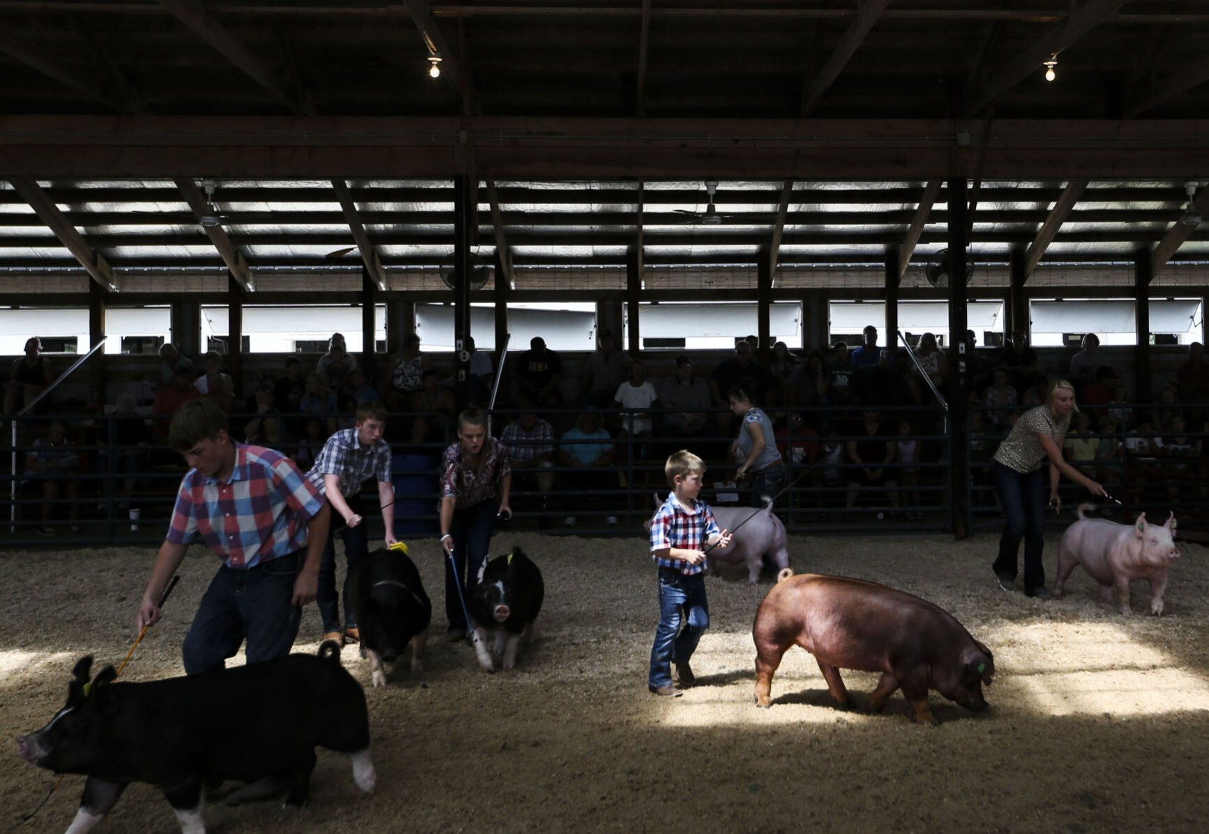080921-qc-nws-fair-13.JPG